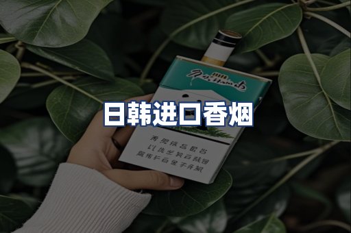 日韩进口香烟